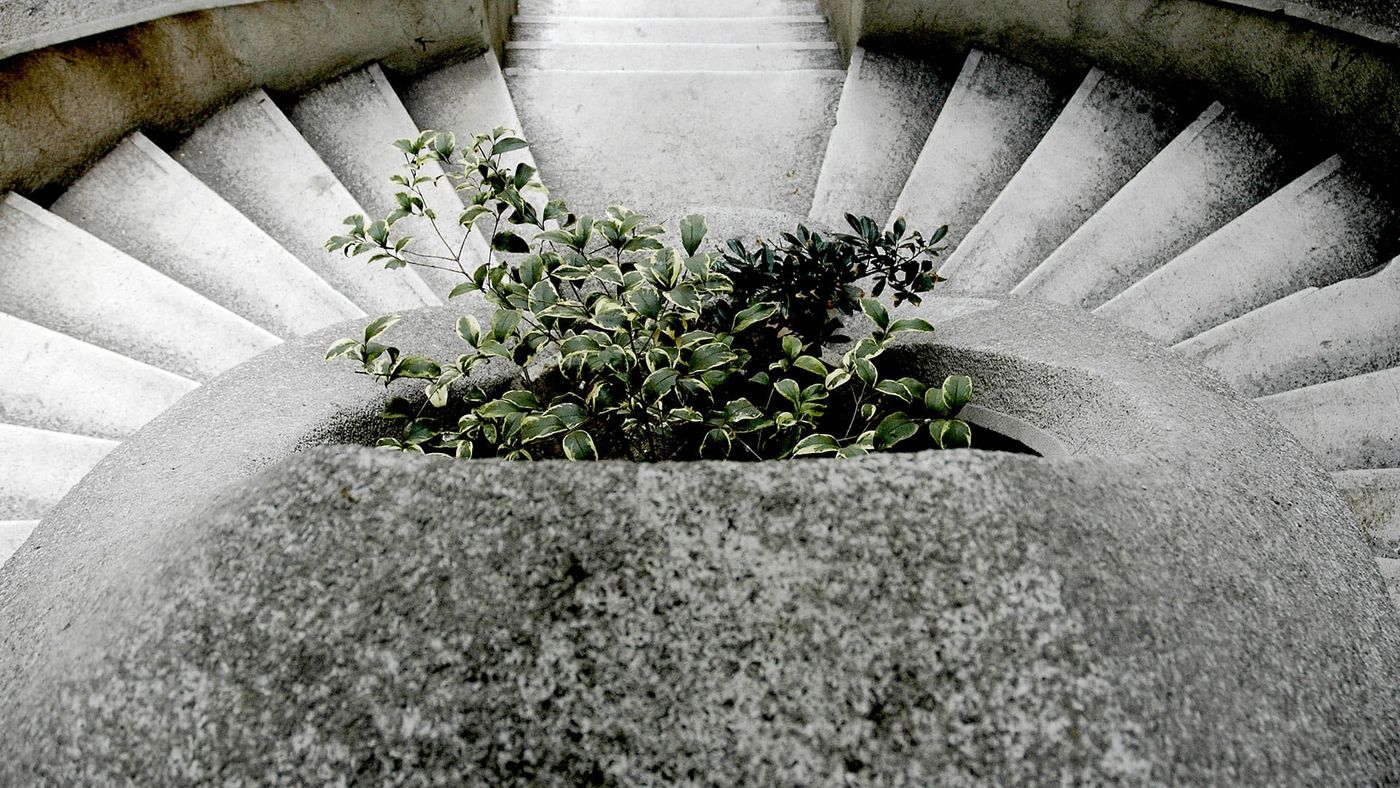 Camondo Stairs